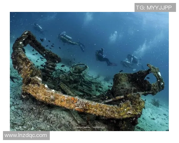 加莱诺的艺术魅力与文化影响力探讨：从历史到现代的深度解析